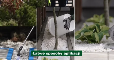 Spoiwo 5L do Stabilizacji Kamieni Żwiru, Grysu i Kruszywa ULTRAMENT